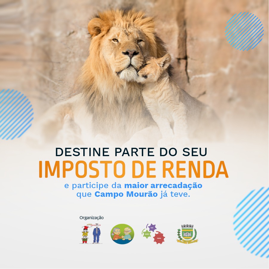Campanha Imposto de Renda 2021